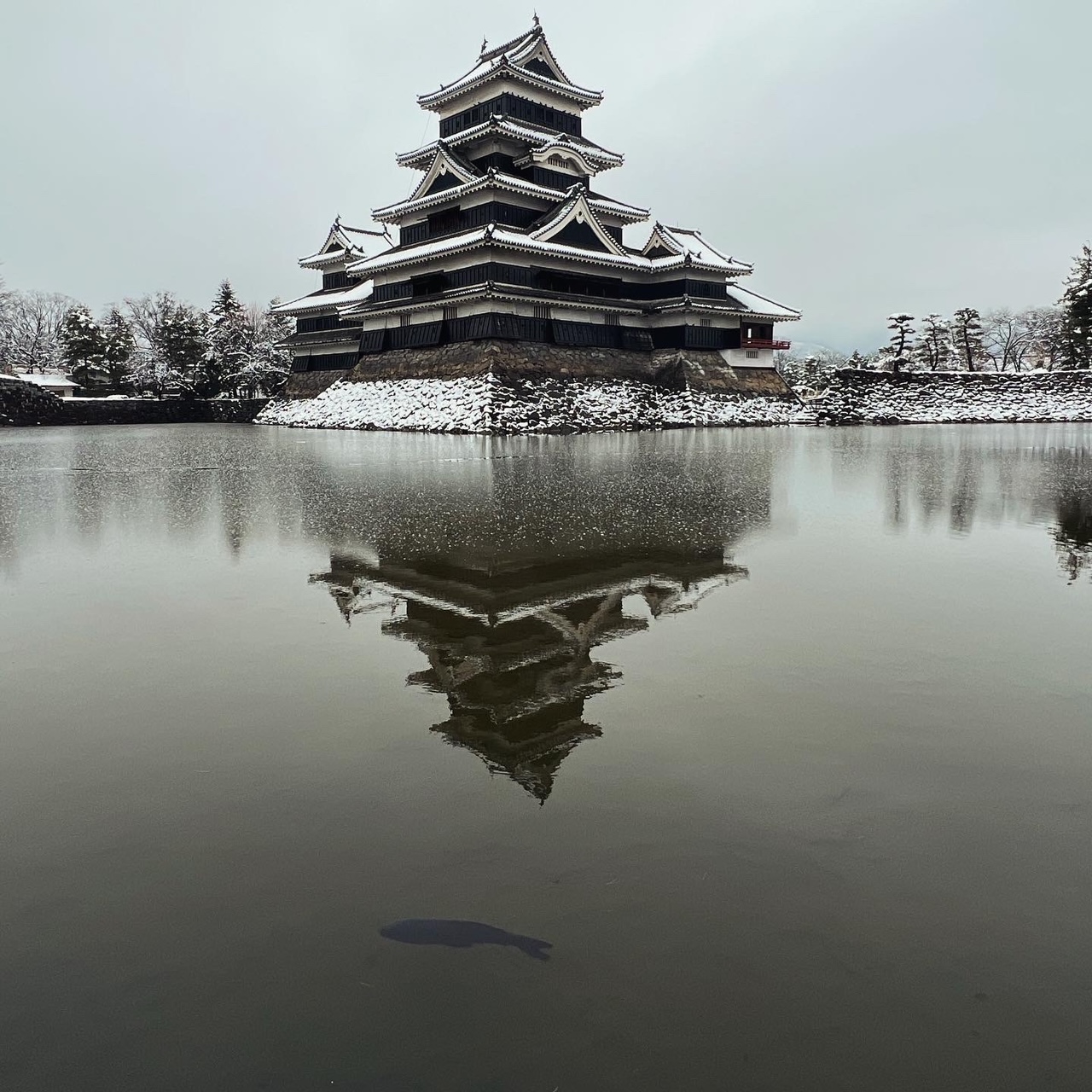 【一点もの】ぽんちゃん☆冬の景色